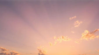 紫色鲜花夕阳唯美大自然风光自媒体实拍 风景视频-众图网