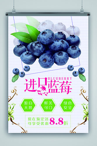 进口蓝莓促销海报