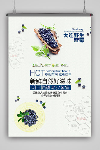 清新野生蓝莓海报