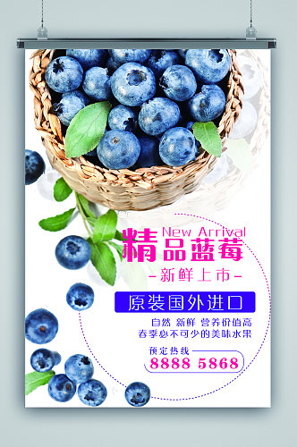 清新精品蓝莓海报