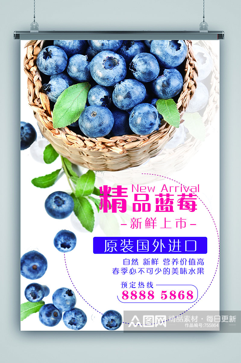 清新精品蓝莓海报素材