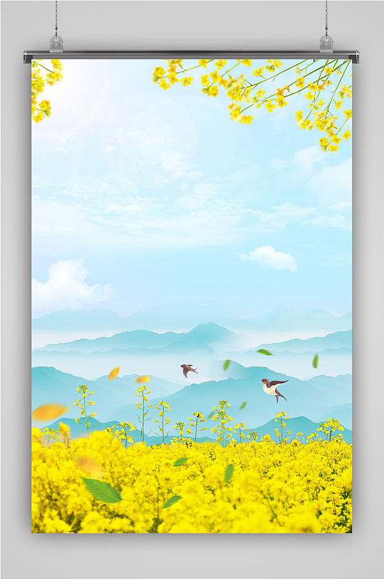 春天 油菜花背景