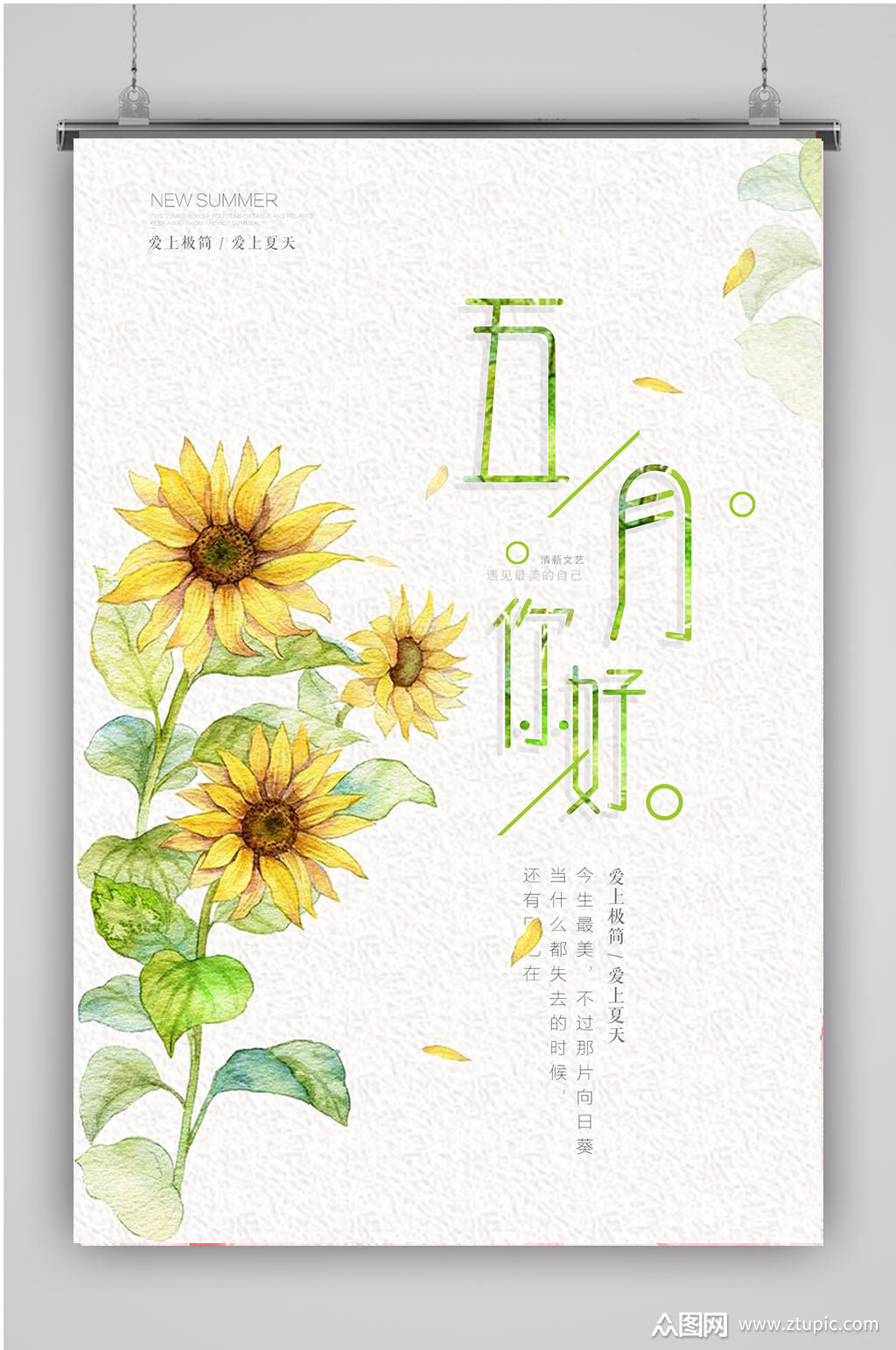 向日葵五月你好海报