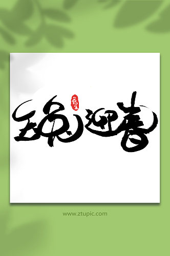 玉兔迎春新年字体元素