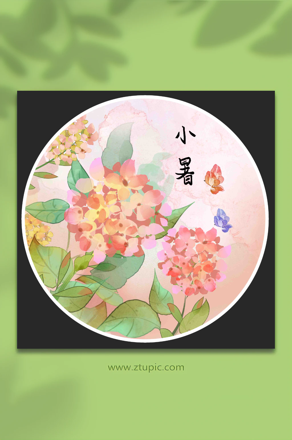 古風(fēng)二十四節(jié)氣小暑插畫(huà)素材
