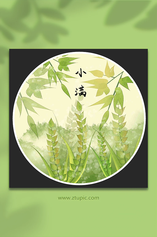 古風二十四節(jié)氣小滿插畫