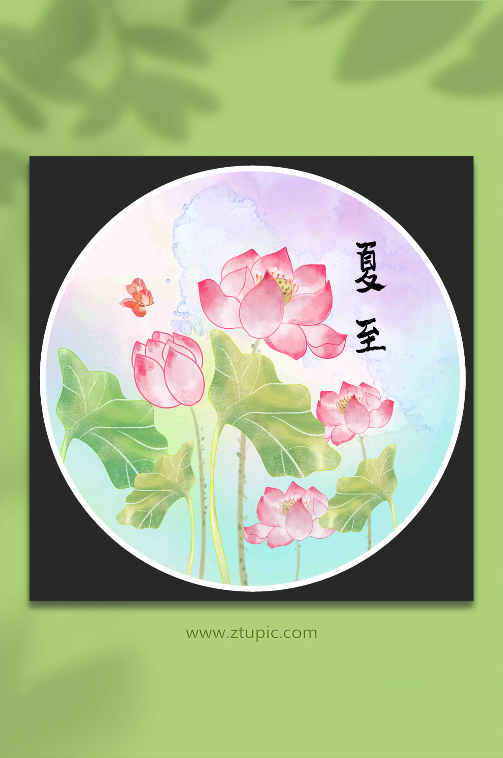 古风二十四节气夏至插画素材