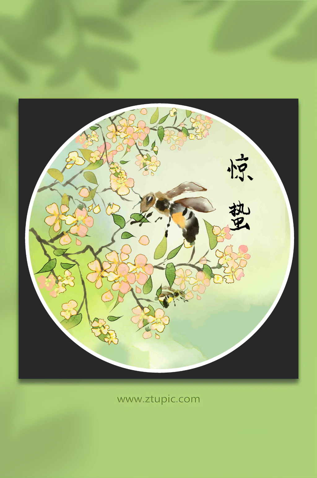古风二十四节气惊蛰插画素材