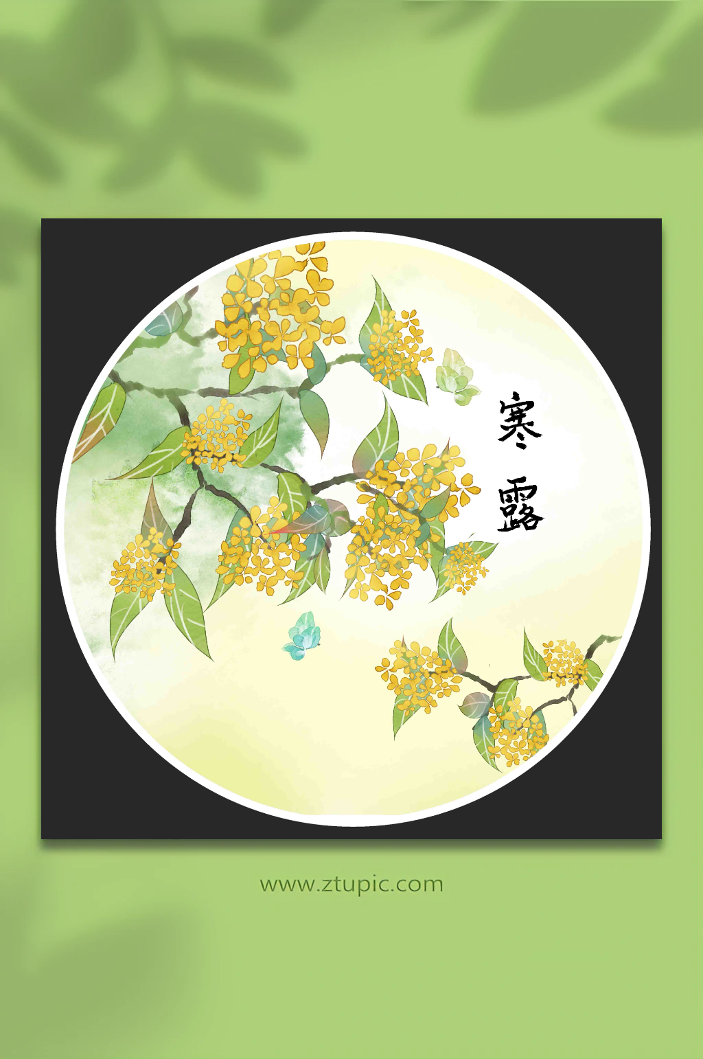 古風二十四節(jié)氣寒露插畫素材
