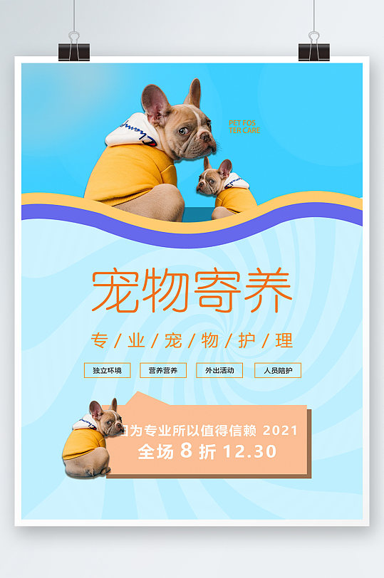 宠物寄养促销海报