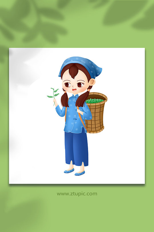 采茶茶叶女孩人物插画