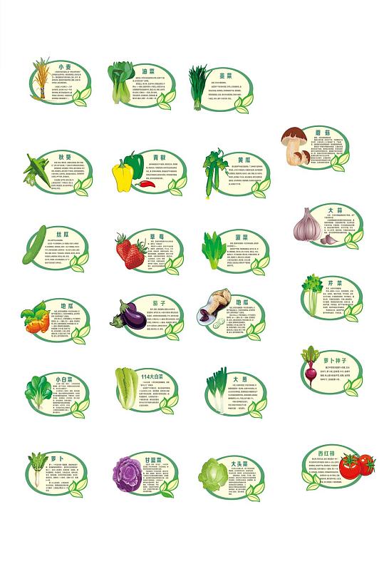 蔬菜介绍异形牌免扣蔬菜素材异形牌