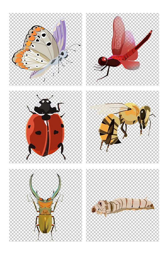 蝴蝶蜻蜓瓢虫蜜蜂蚕甲虫昆虫元素插画