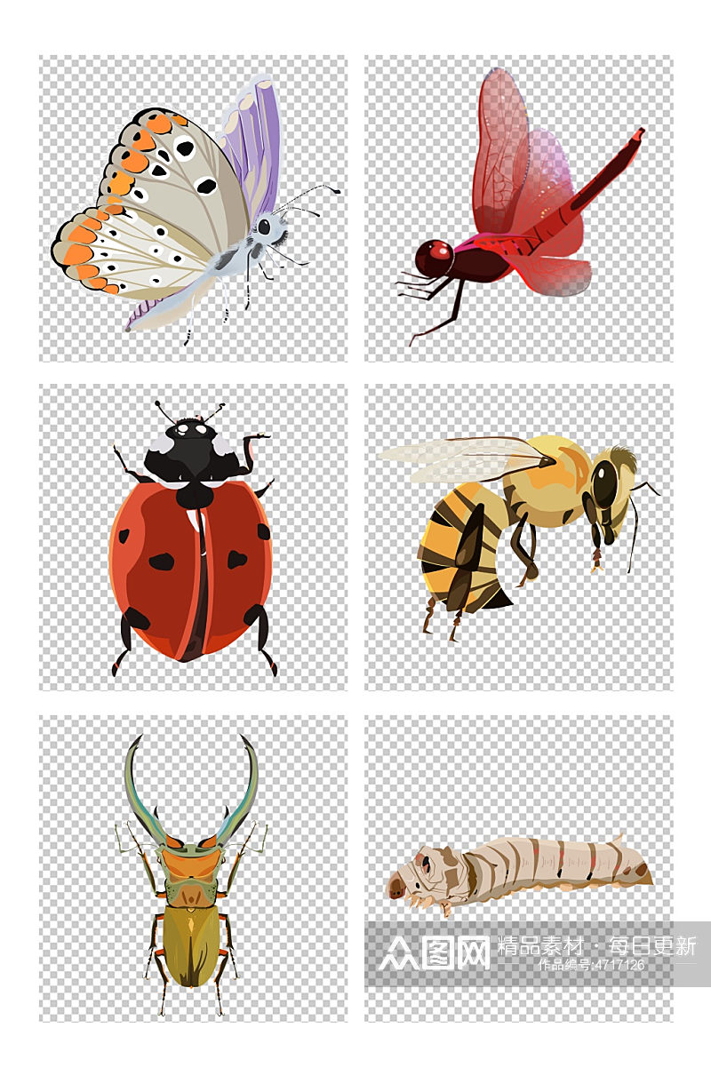 蝴蝶蜻蜓瓢虫蜜蜂蚕甲虫昆虫元素插画素材