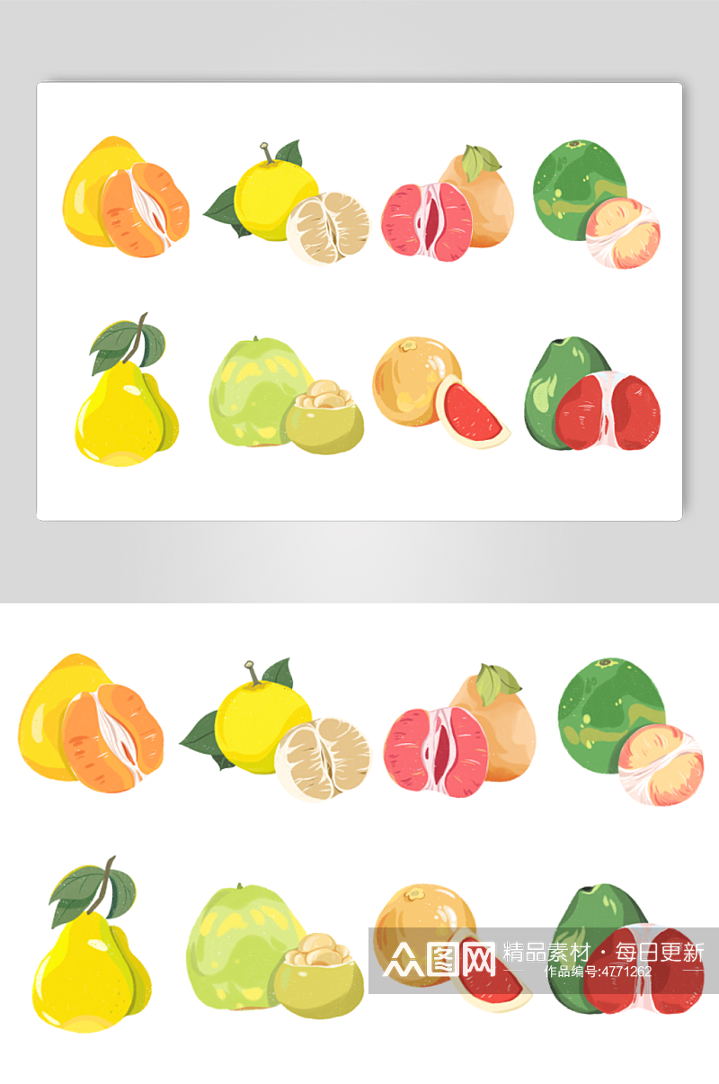 扁平风手绘质感冬季柚子水果元素插画素材