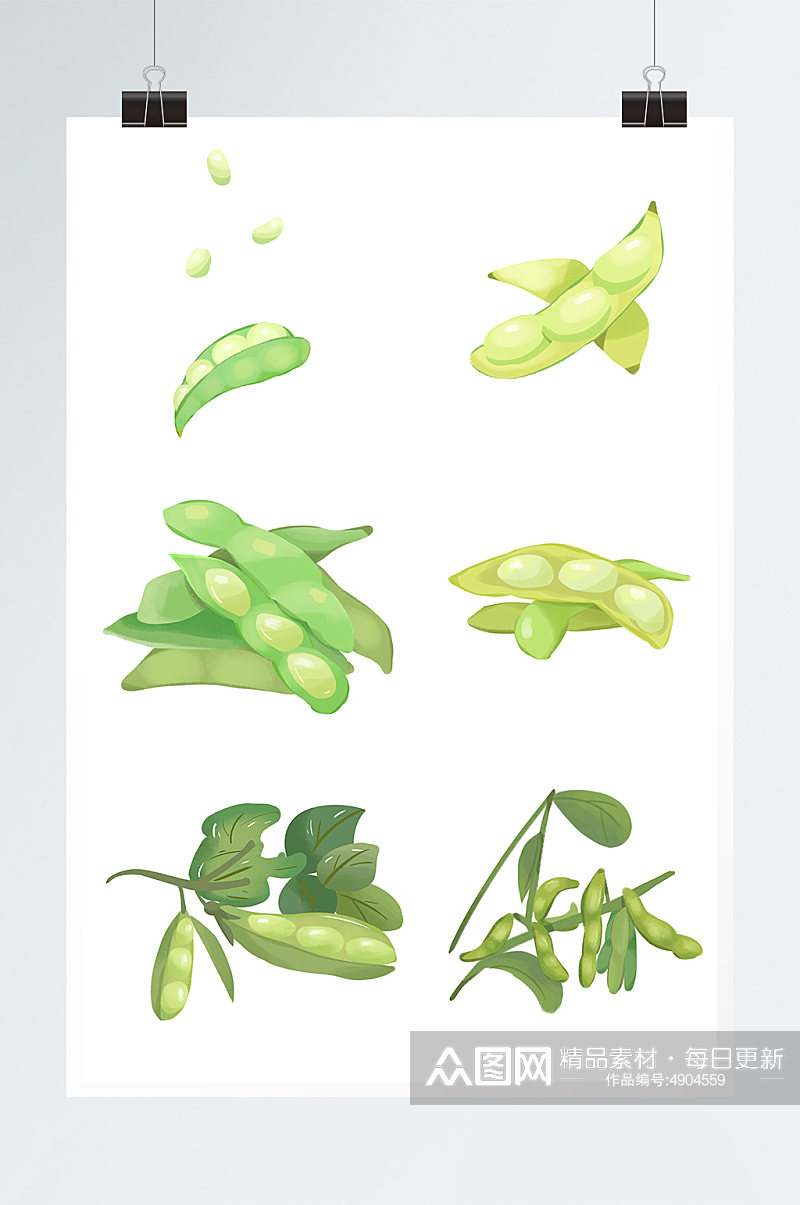 清新绿色毛豆蔬菜元素插画素材