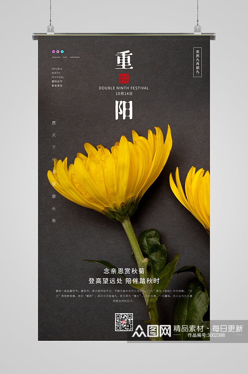 重阳节菊花摄影图海报素材