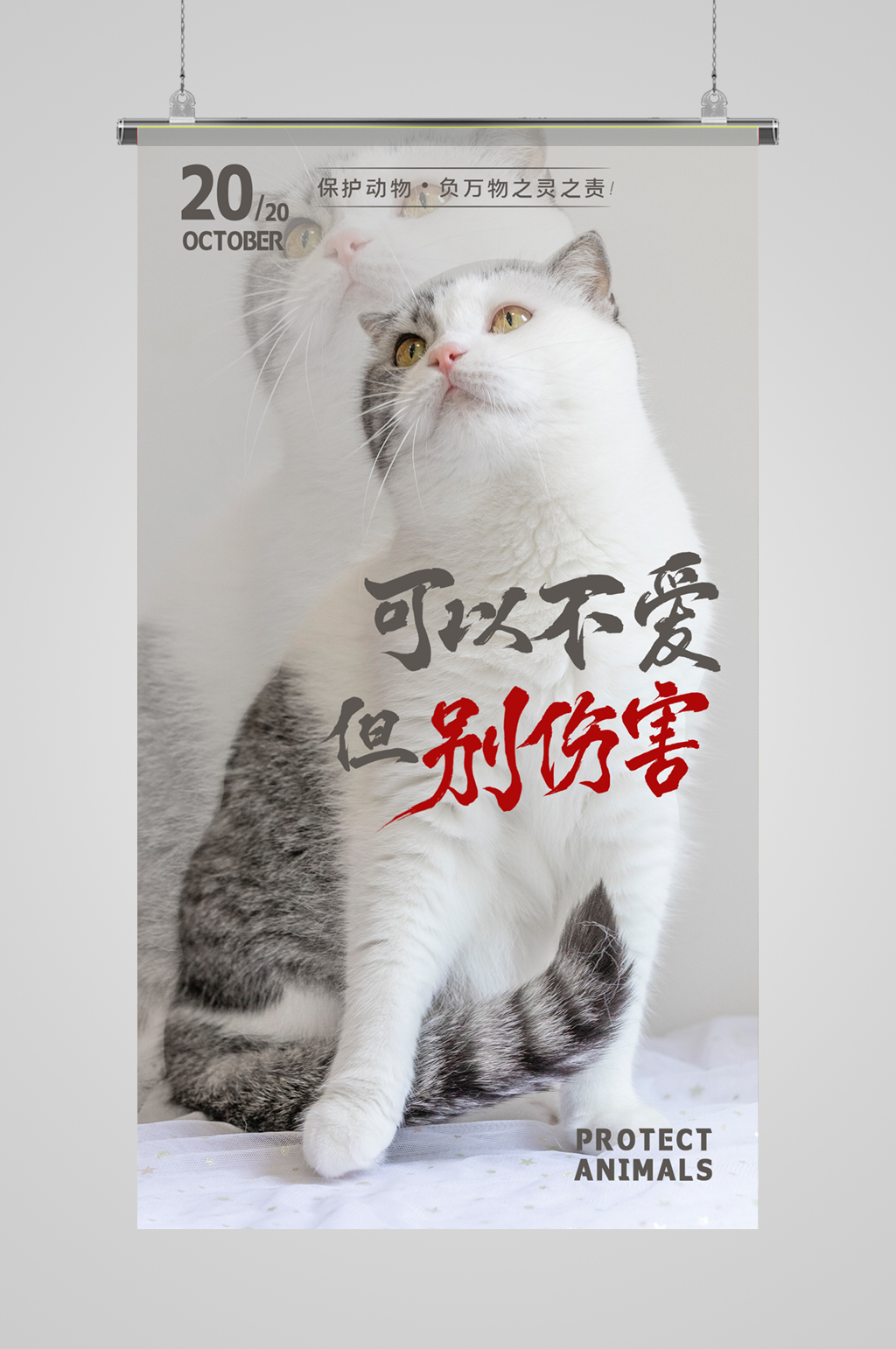 保护动物公益摄影海报设计素材