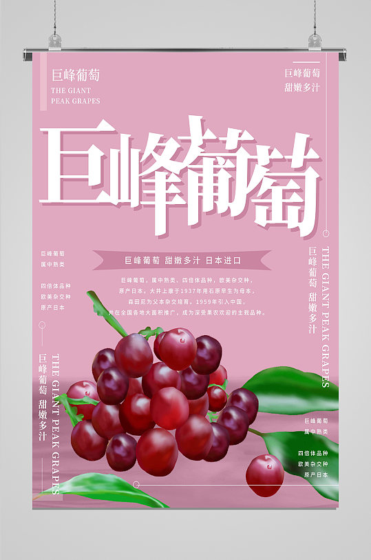 巨峰葡萄美味营养-众图网