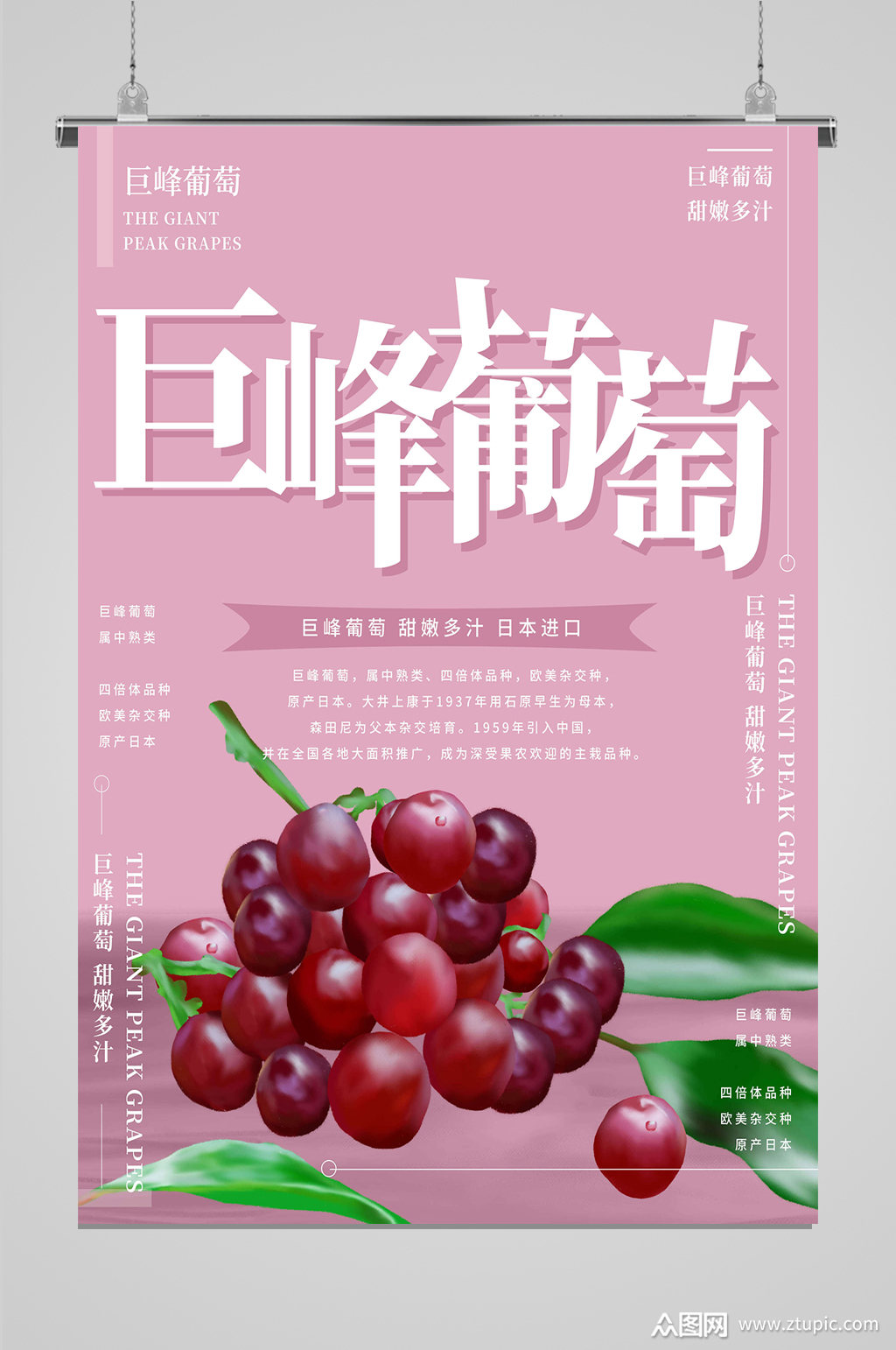 巨峰葡萄美味营养