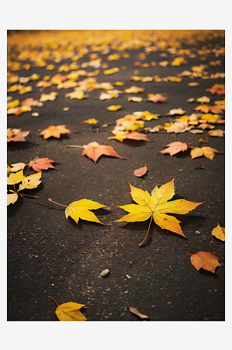 AI数字艺术写实风秋天里地上的树叶