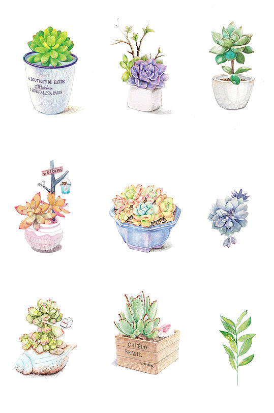 手绘植物多肉盆栽素材