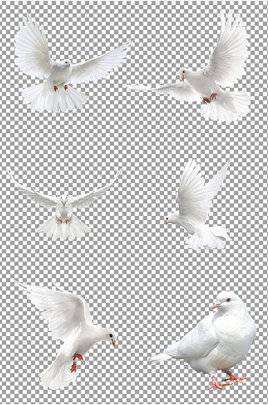 牙齿兔子和平鸽子魔鬼免扣素材设计