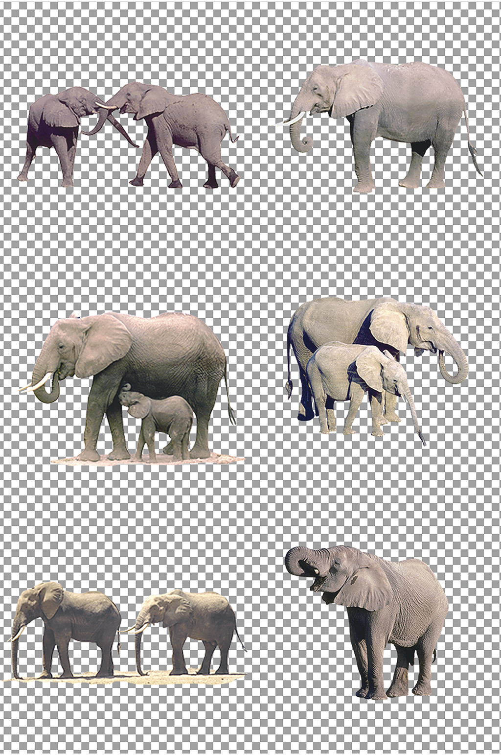 大象图片免扣素材素材