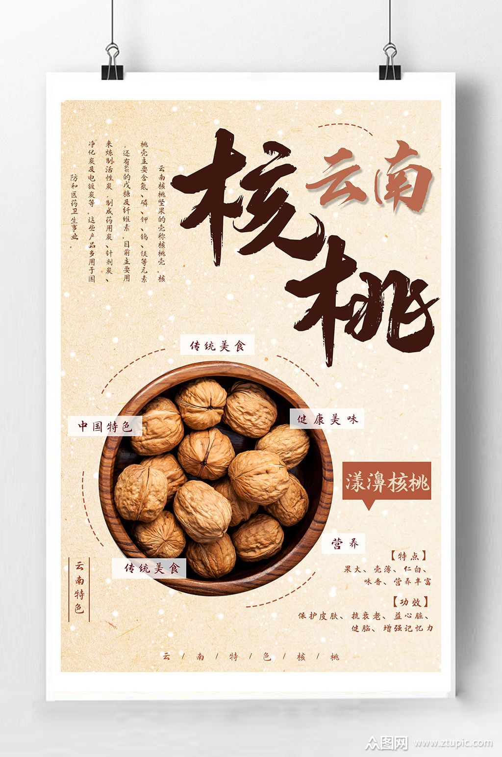 云南核桃宣传海报