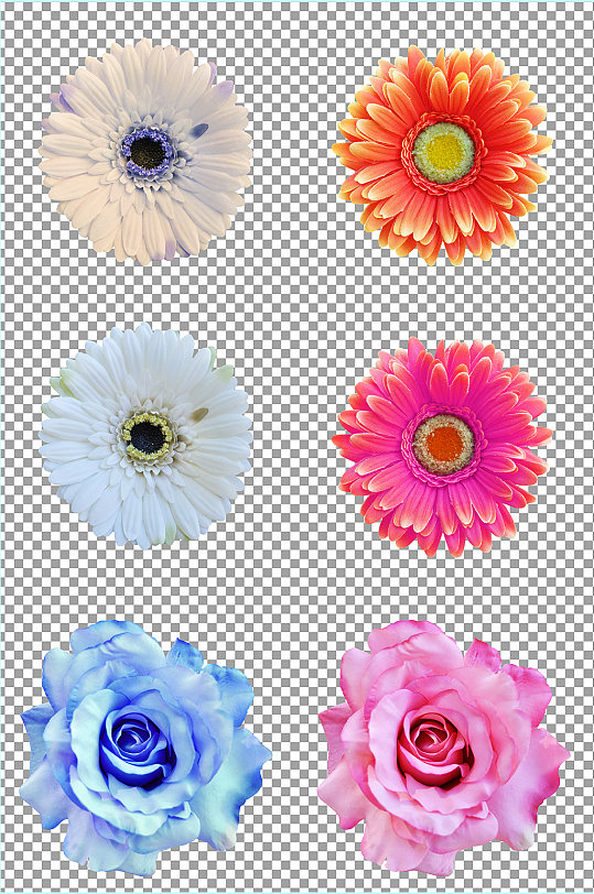 烫金花朵花卉高档花朵png免抠素材