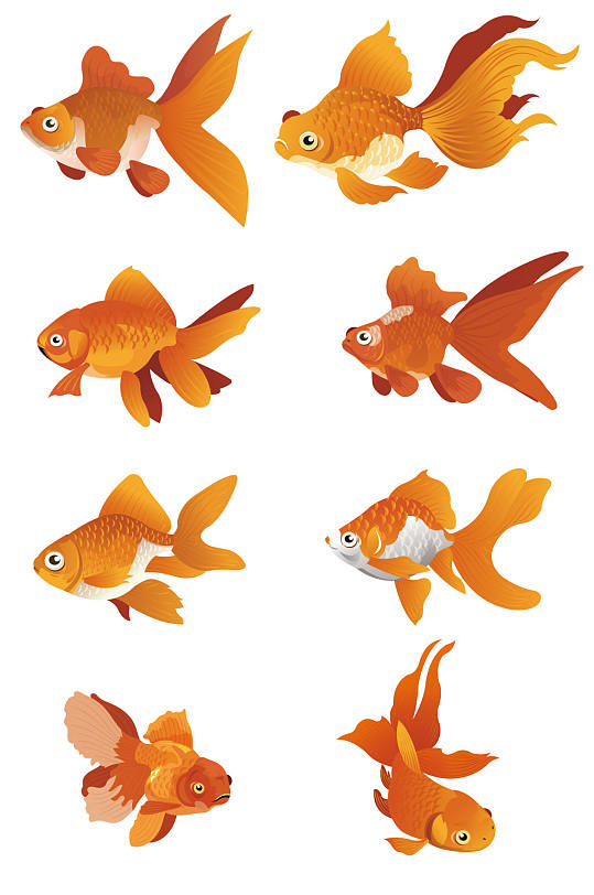 金色金鱼免扣素材