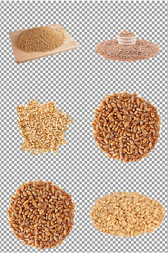 小麦麦粒图片素材