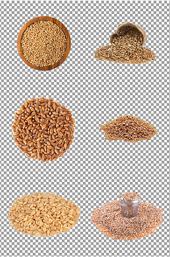 小麦麦粒粮食素材