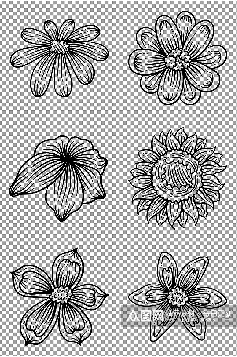 黑色线条花朵图片素材