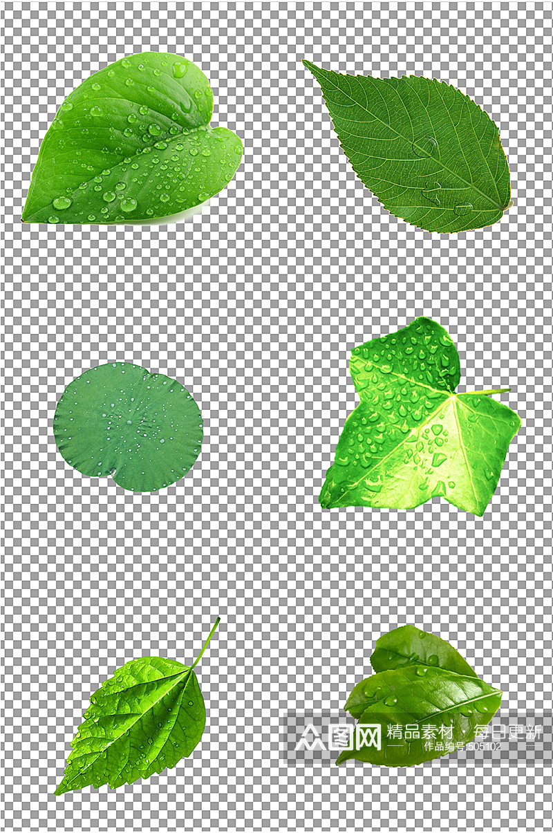 绿色水珠露珠树叶素材