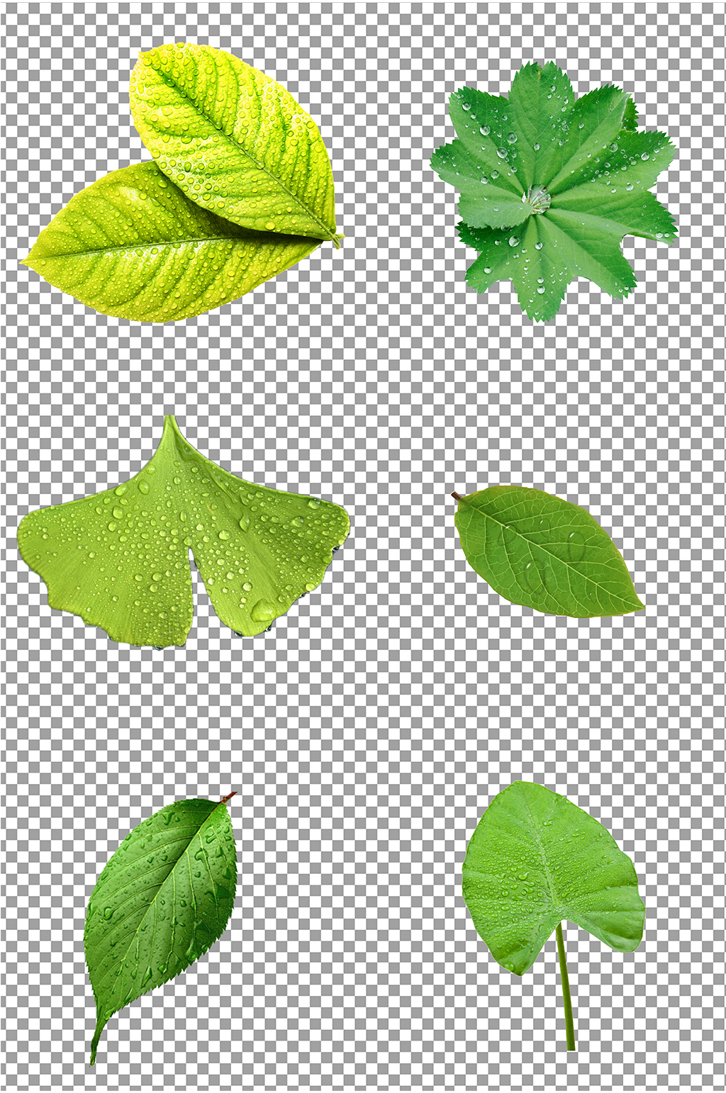 绿色树叶免扣素材素材