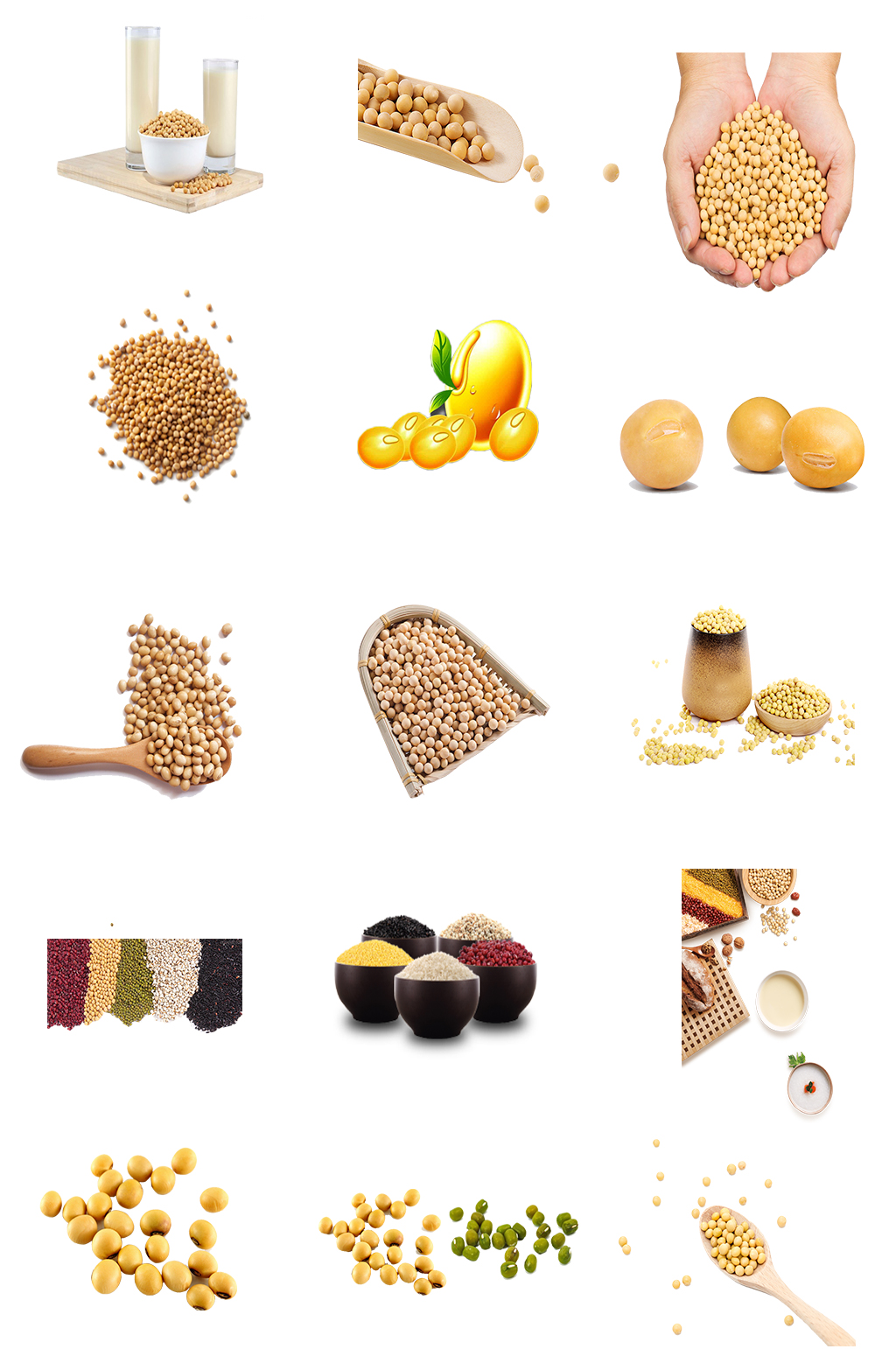 黄豆豆子豆浆素材素材