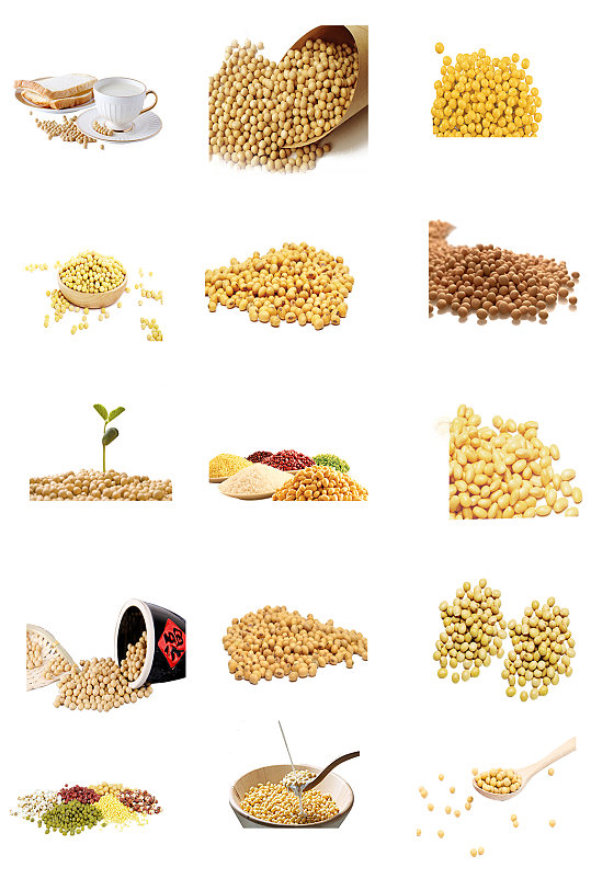 粮食豆子图片-粮食豆子素材下载-众图网