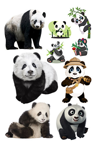 国宝熊猫动物素材