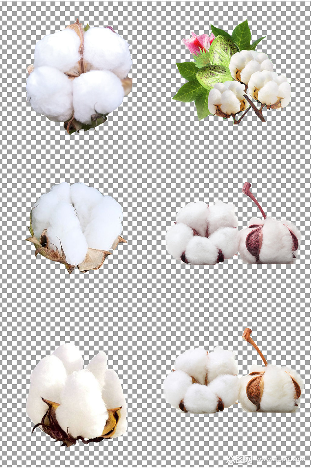 ɫ޻زز