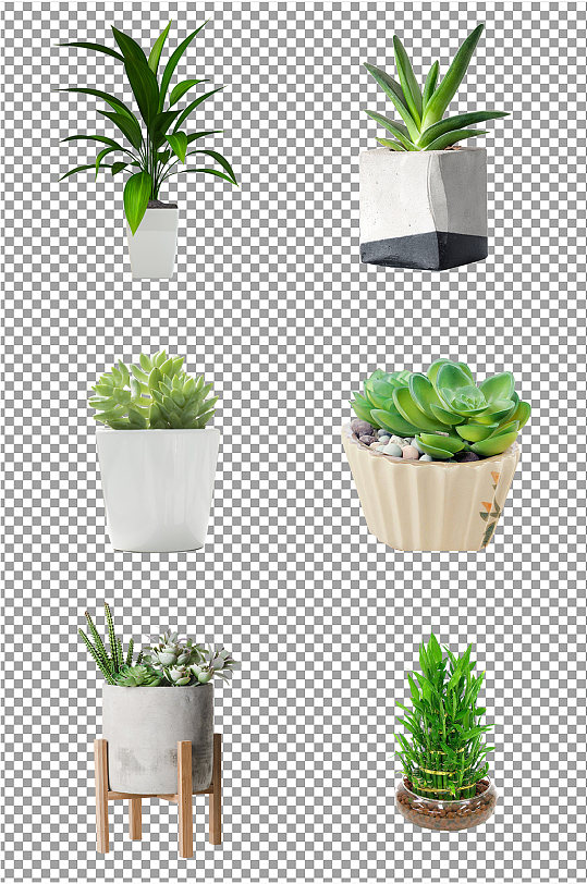 绿色植物盆栽素材-众图网