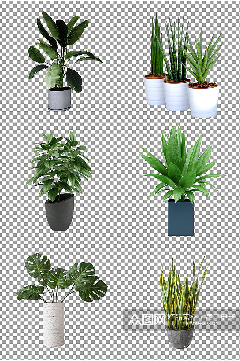 室内盆栽植物图片素材