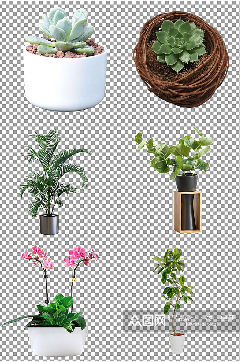 室内盆栽植物图片素材