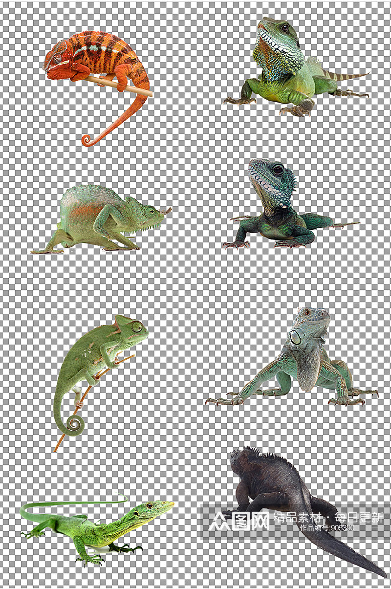 蜥蜴变色龙动物素材素材