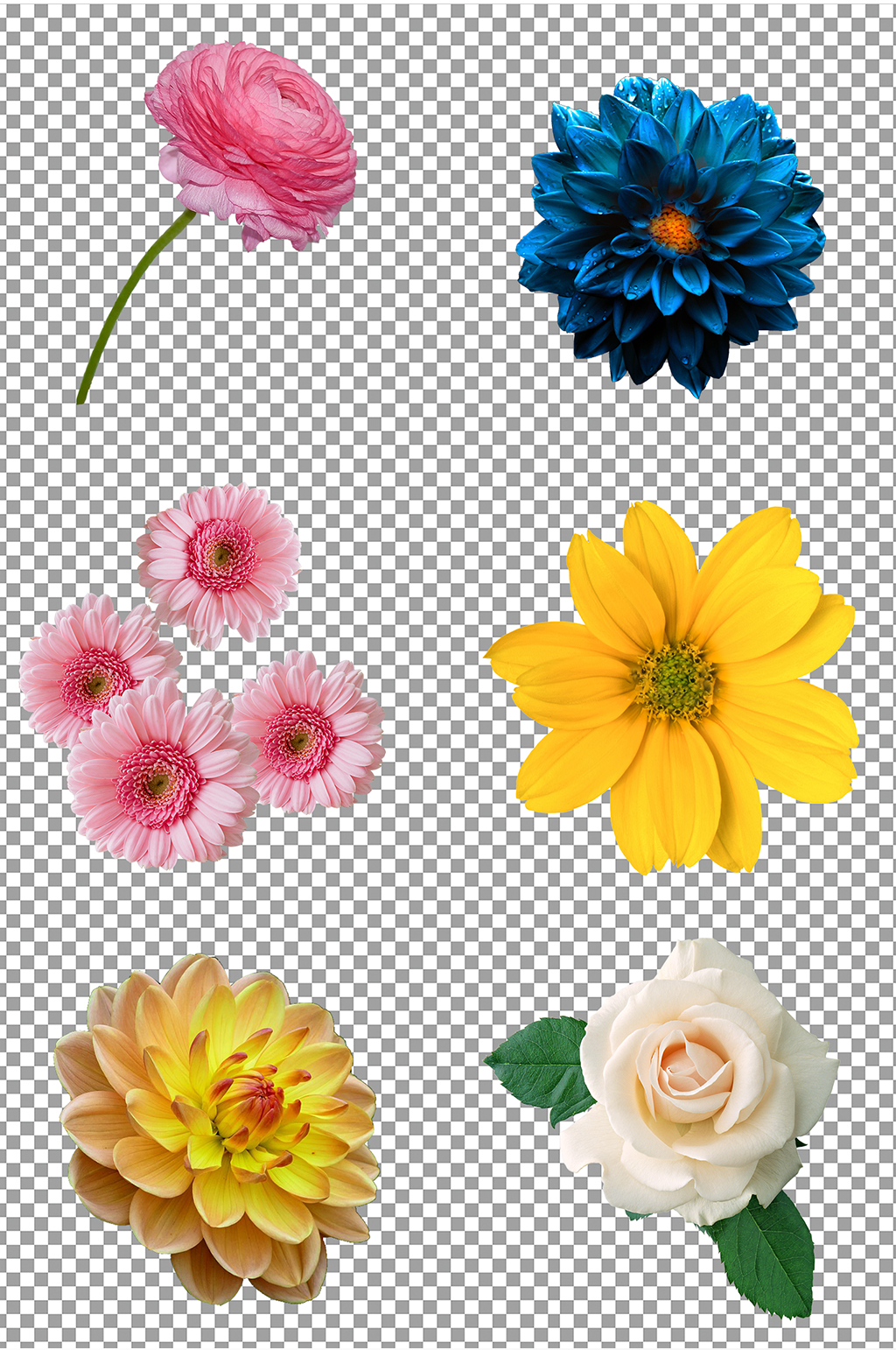 鲜花花朵免扣素材素材