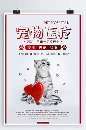 宠物医疗萌宠海报宣传海报