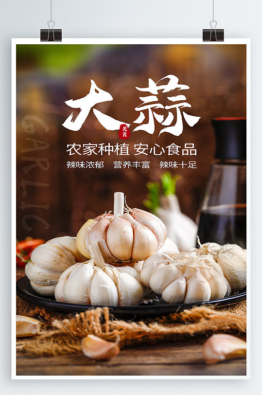 大蒜食材宣传海报