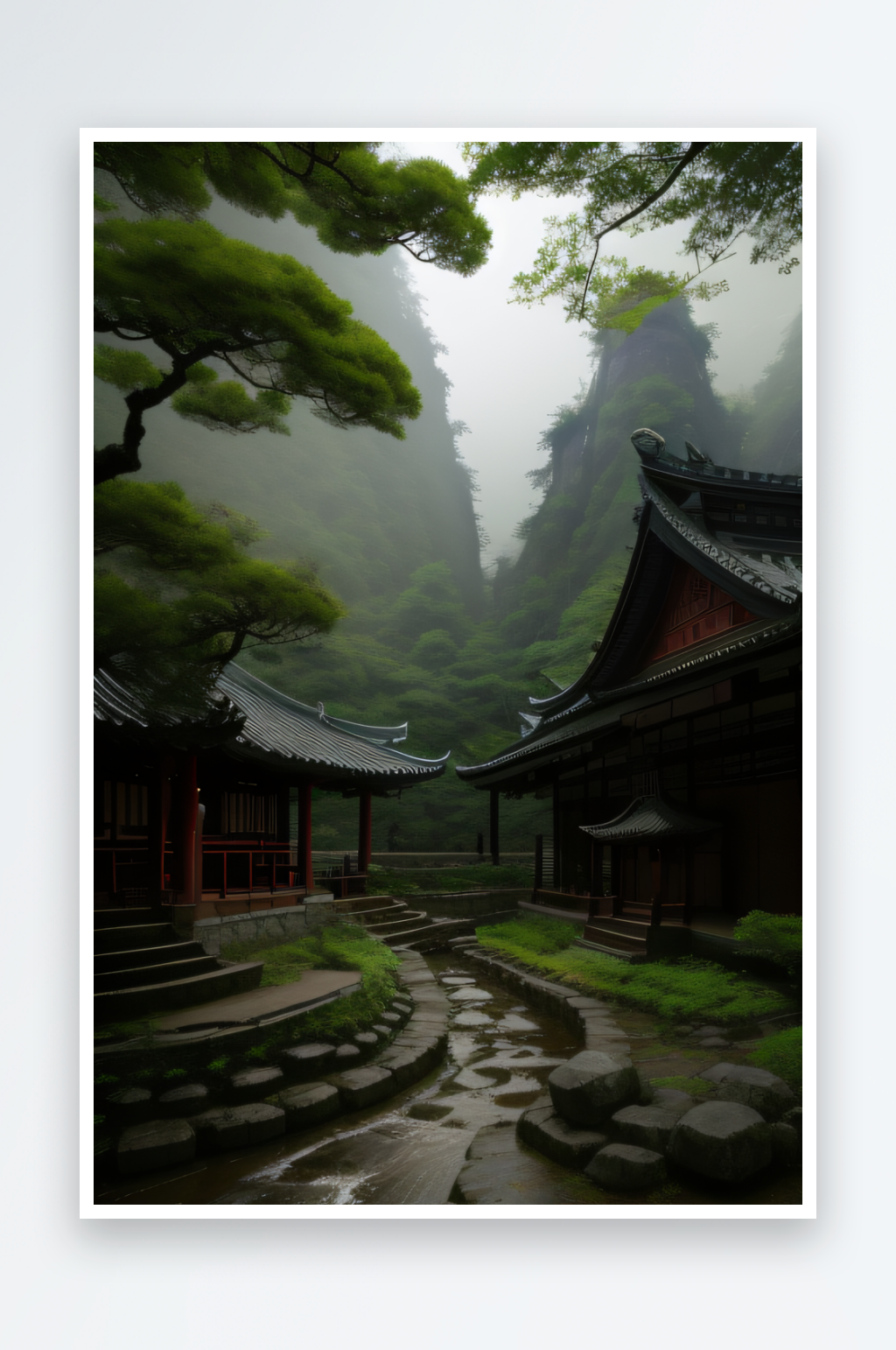 生机勃勃的武夷山茶叶的茂盛与青翠素材