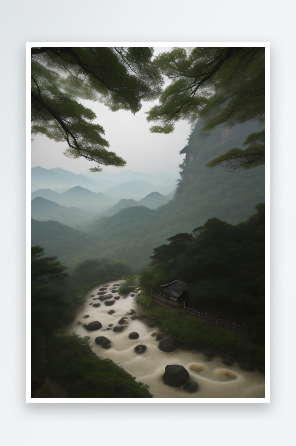 生机勃勃的武夷山茶叶的茂盛与青翠素材
