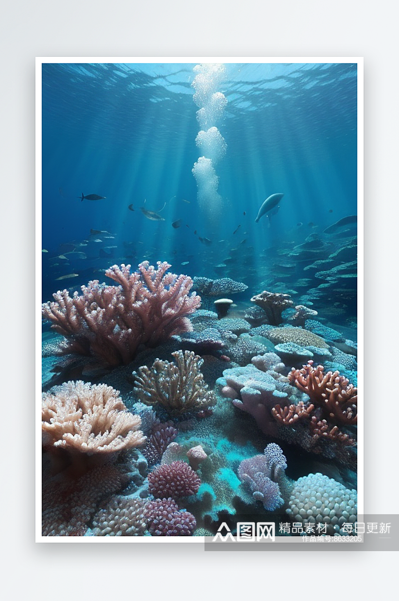 海底奇迹珊瑚的秘密花园素材